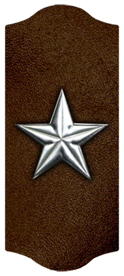 DARAY C 430 SL BR Star Silver Brown